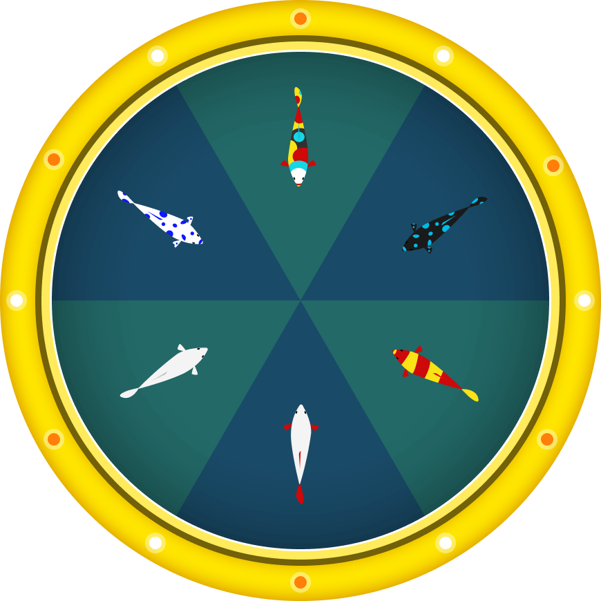 BettaMarket - Quay lên top